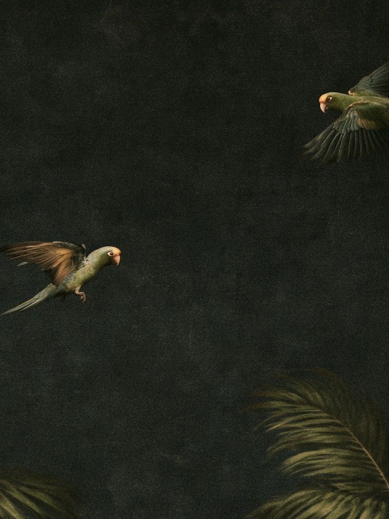 Tropical Parrots in Flight Poster. poster — animals art