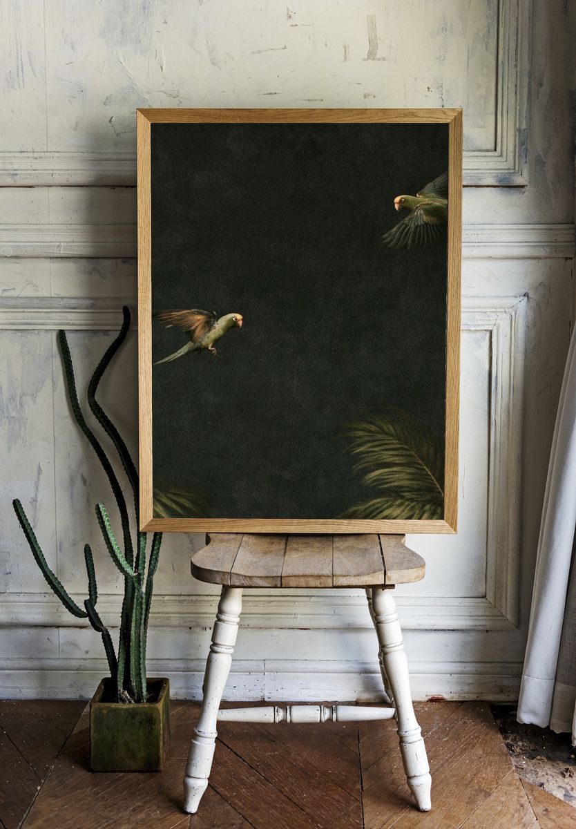 Tropical Parrots in Flight Poster. — room view 1