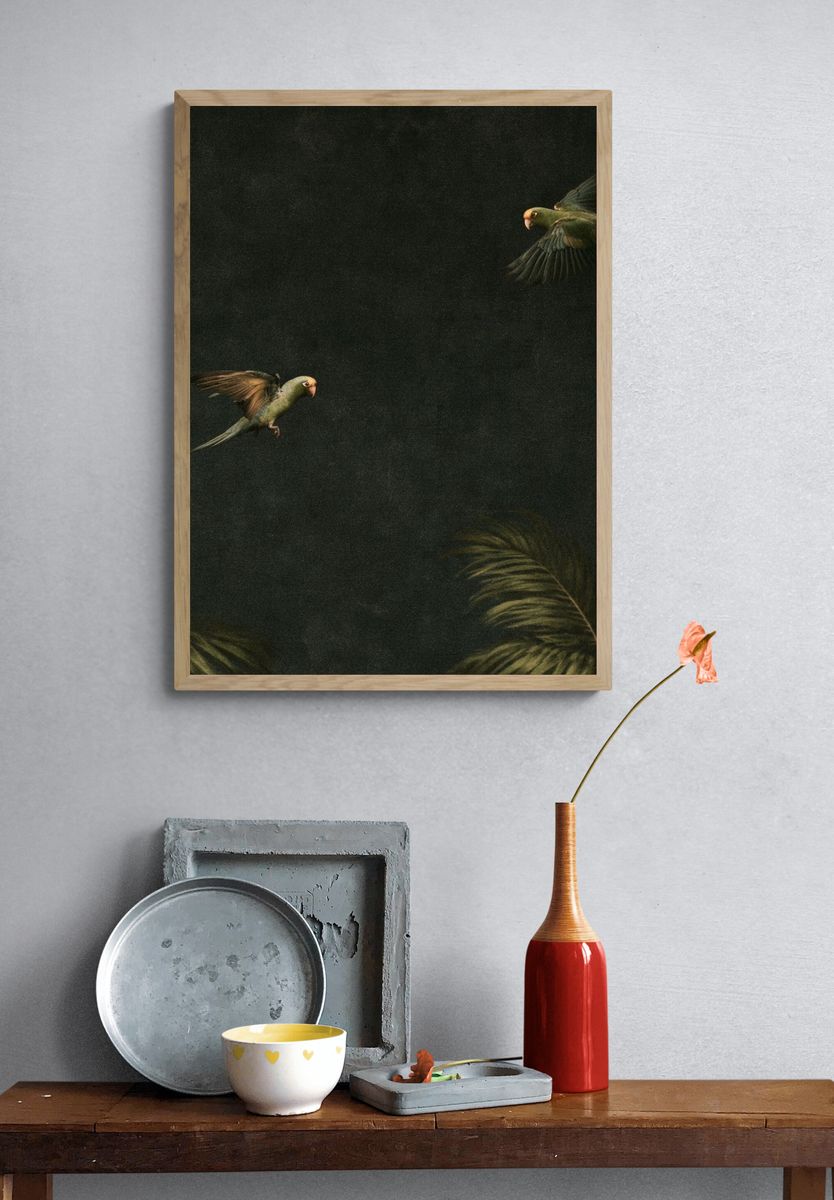 Tropical Parrots in Flight Poster. — room view 3