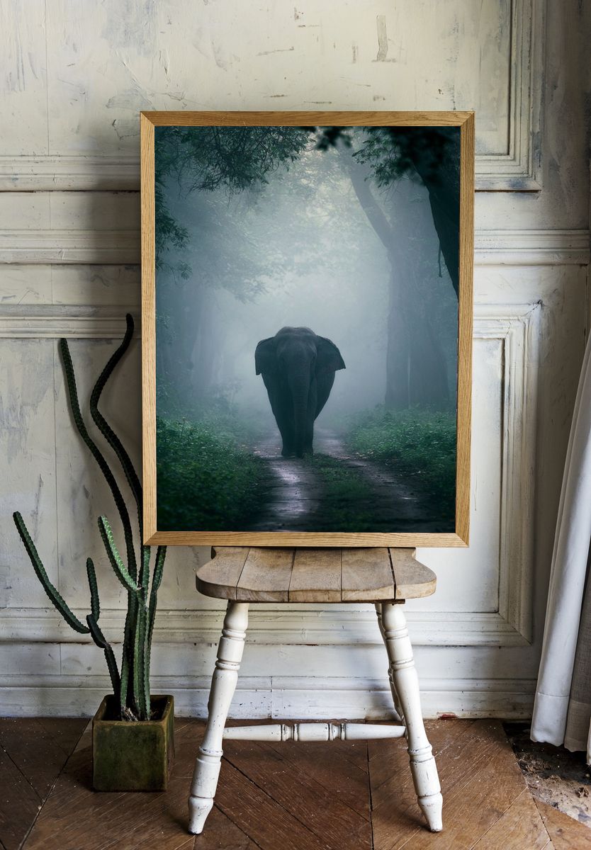 Misty Elephant Forest Poster. — room view 1