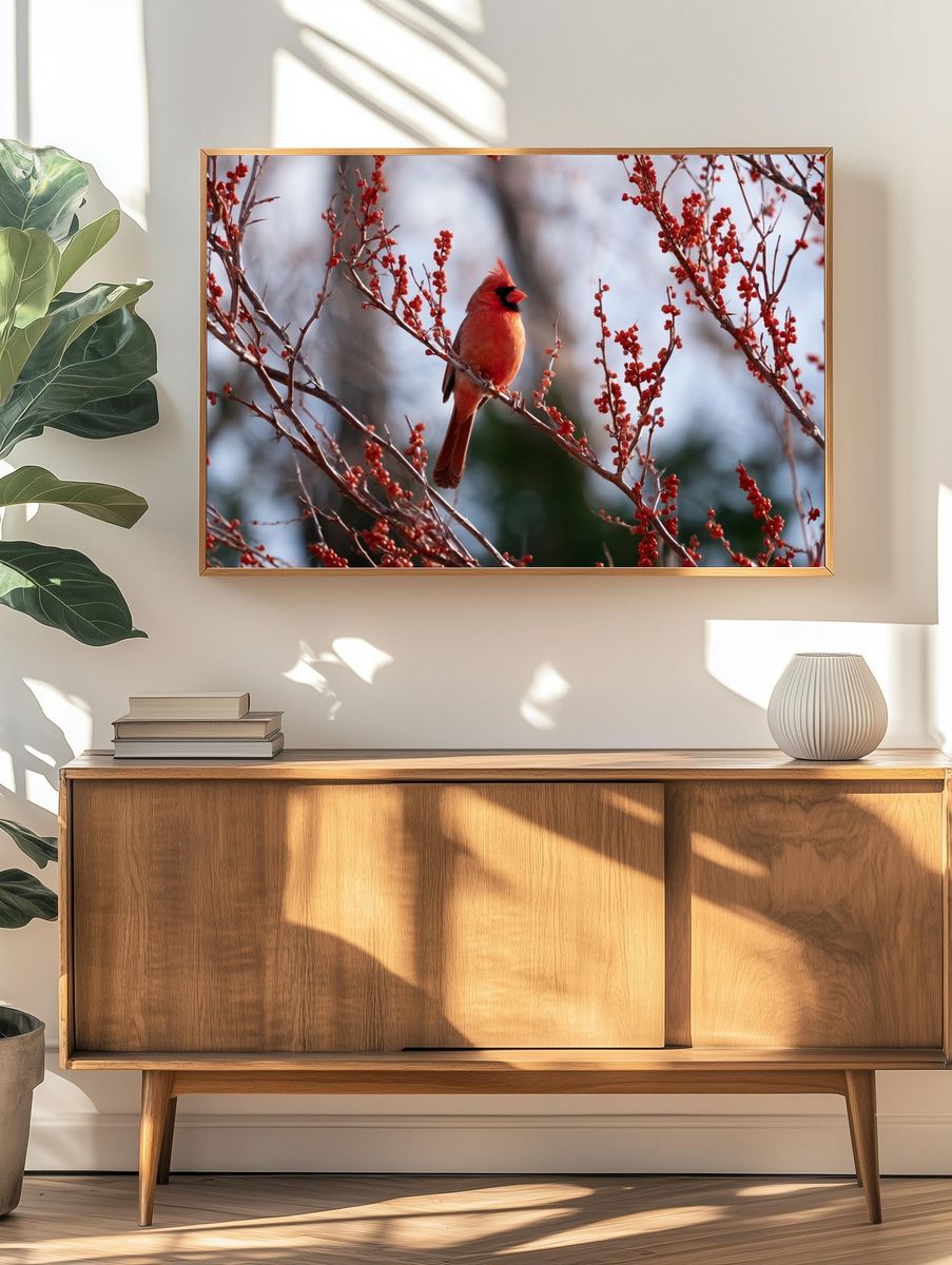 Cardinal in Winter Berries Poster. — room view 3
