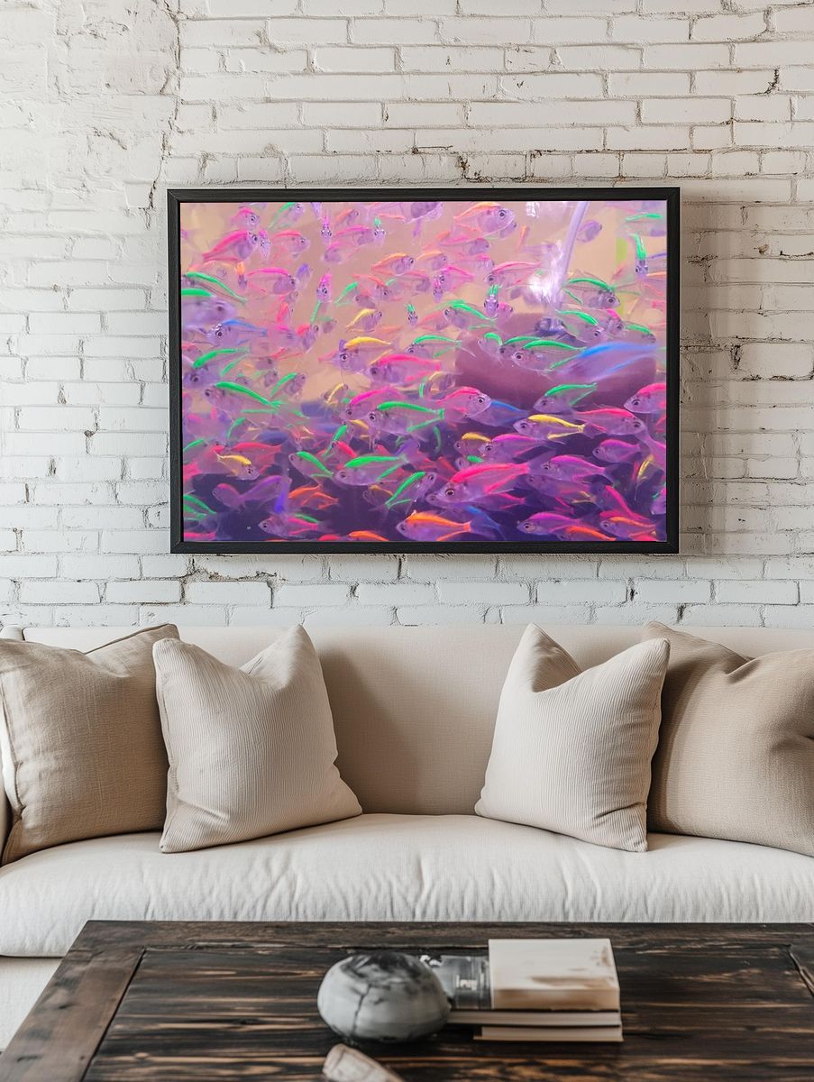 Colorful neon glowing fishes. Free. room preview