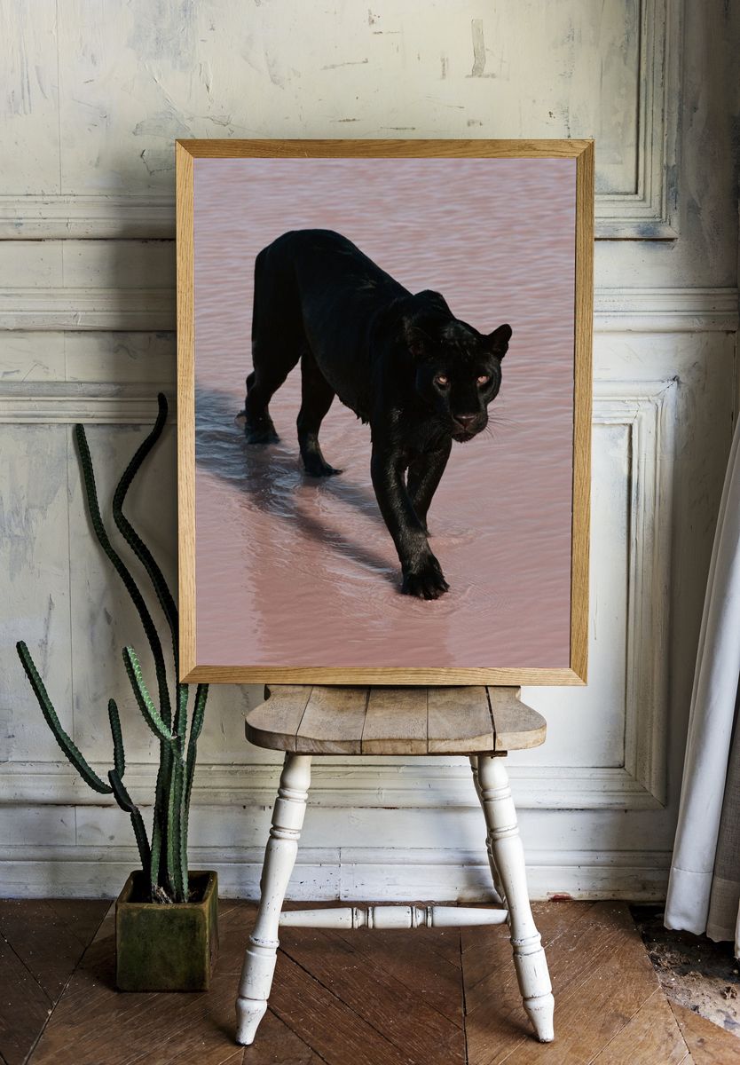 Black Panther in Water Poster. — room view 1