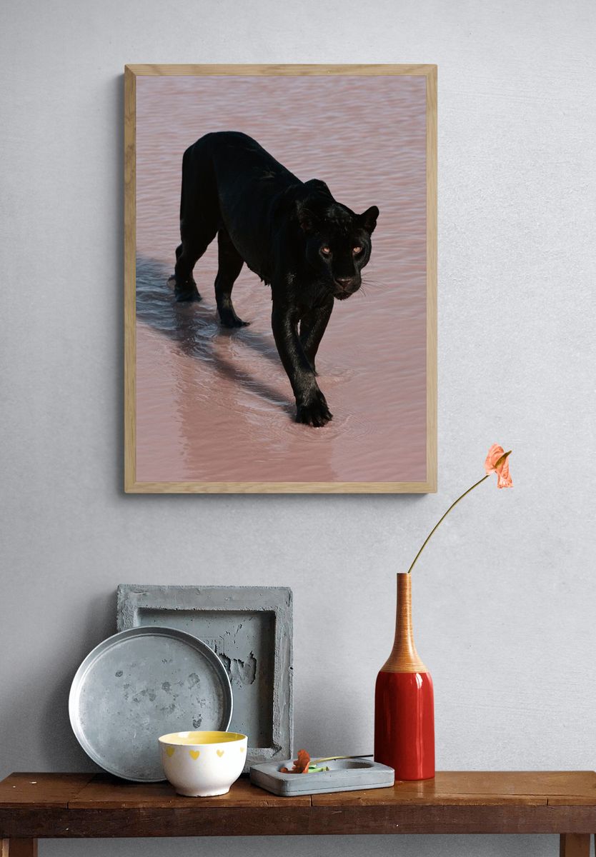 Black Panther in Water Poster. — room view 3