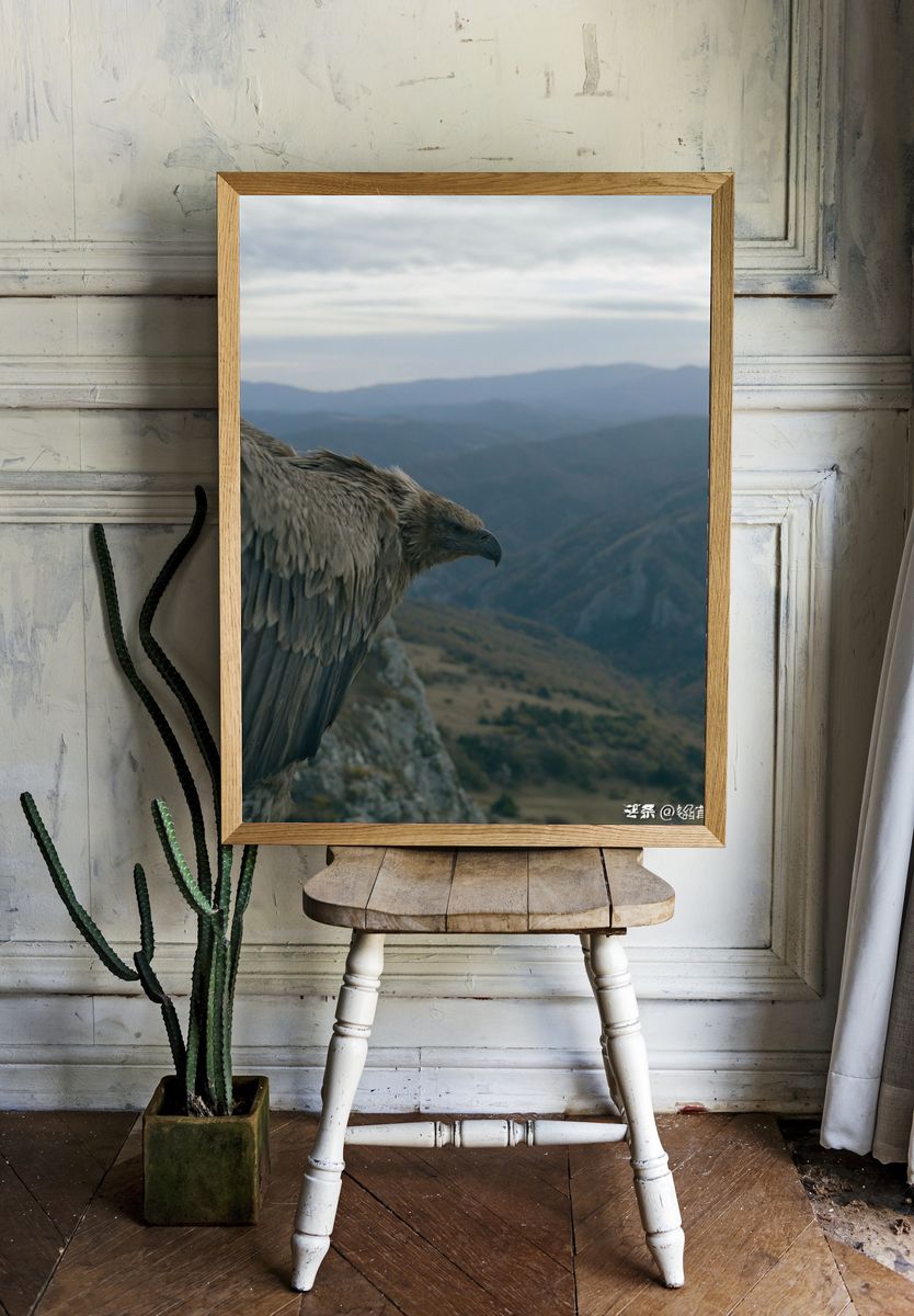 Eagle Over Mountain Valley Poster. — room view 1