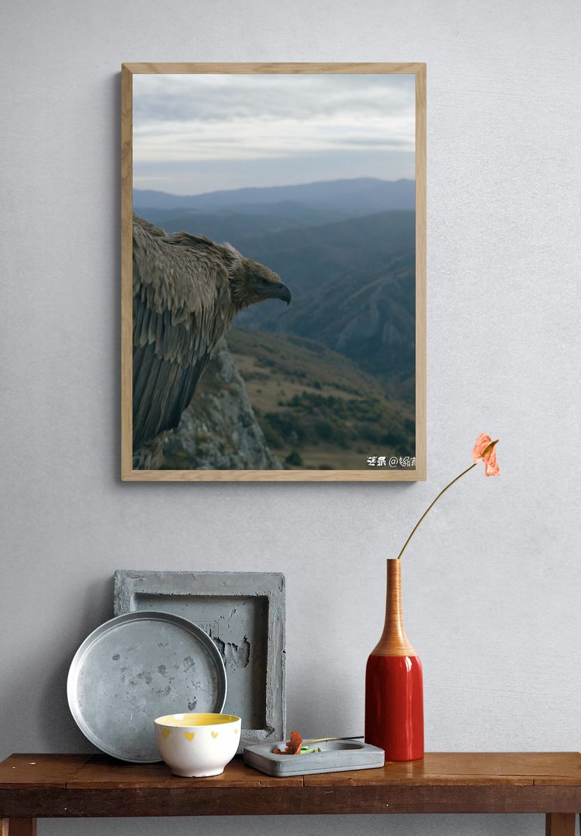 Eagle Over Mountain Valley Poster. — room view 3