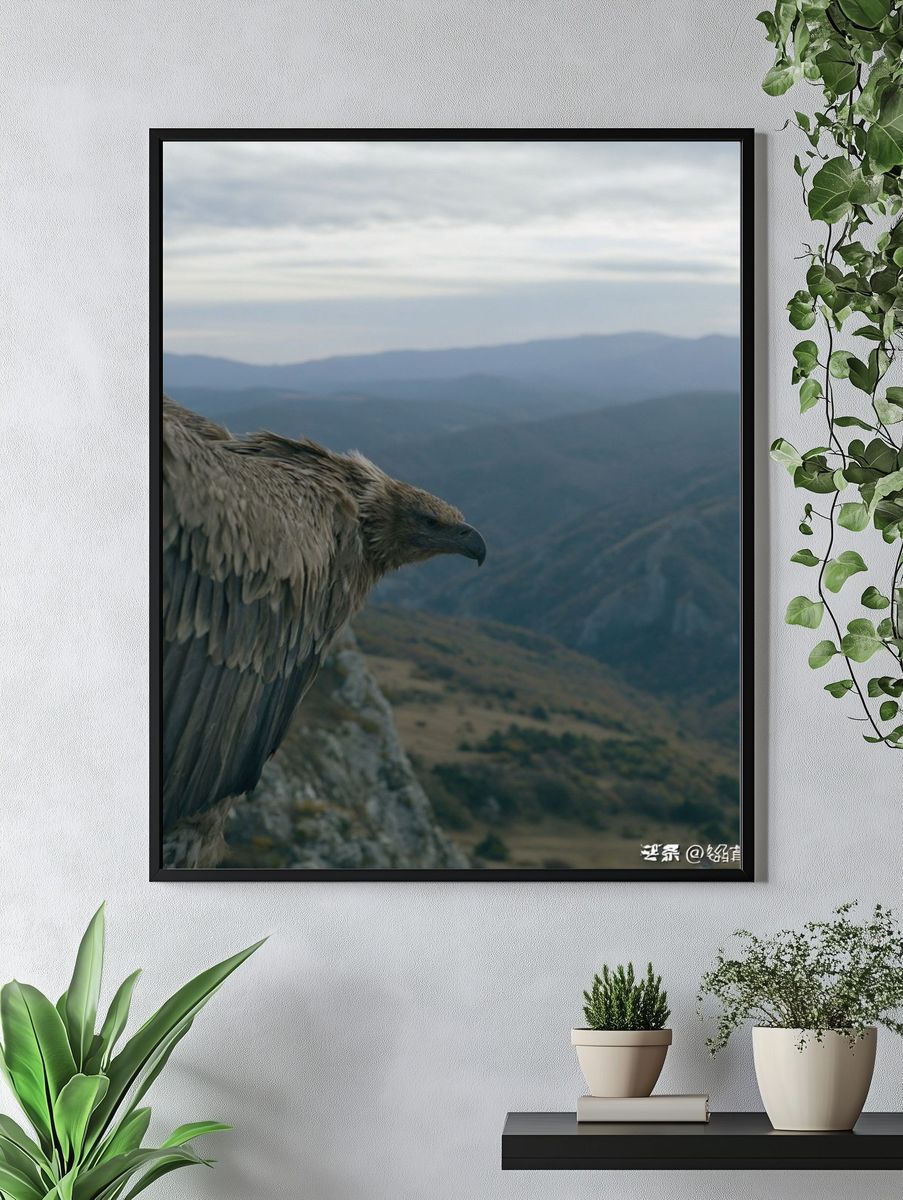 Eagle Over Mountain Valley Poster. — room view 4