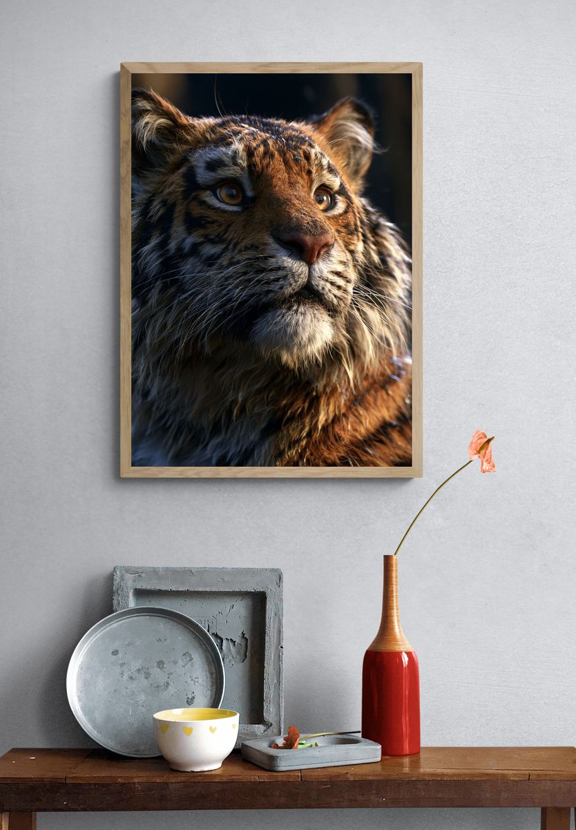 Tiger Cub Portrait Poster. — room view 3