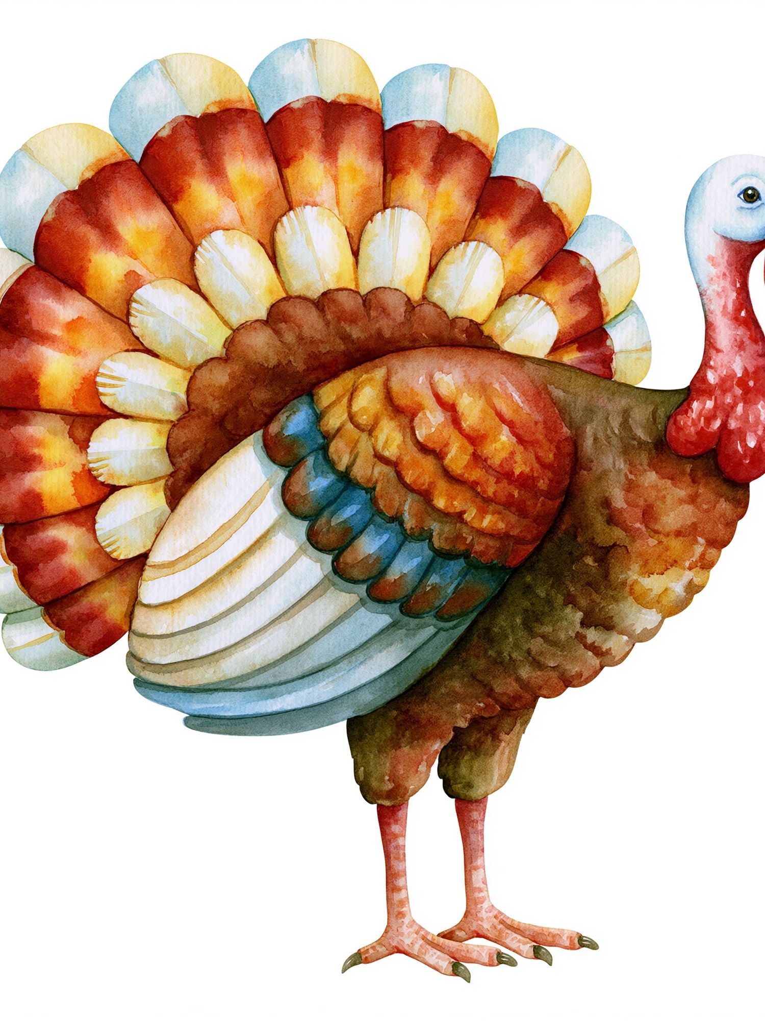 Watercolor Turkey Illustration Poster. poster — animals art