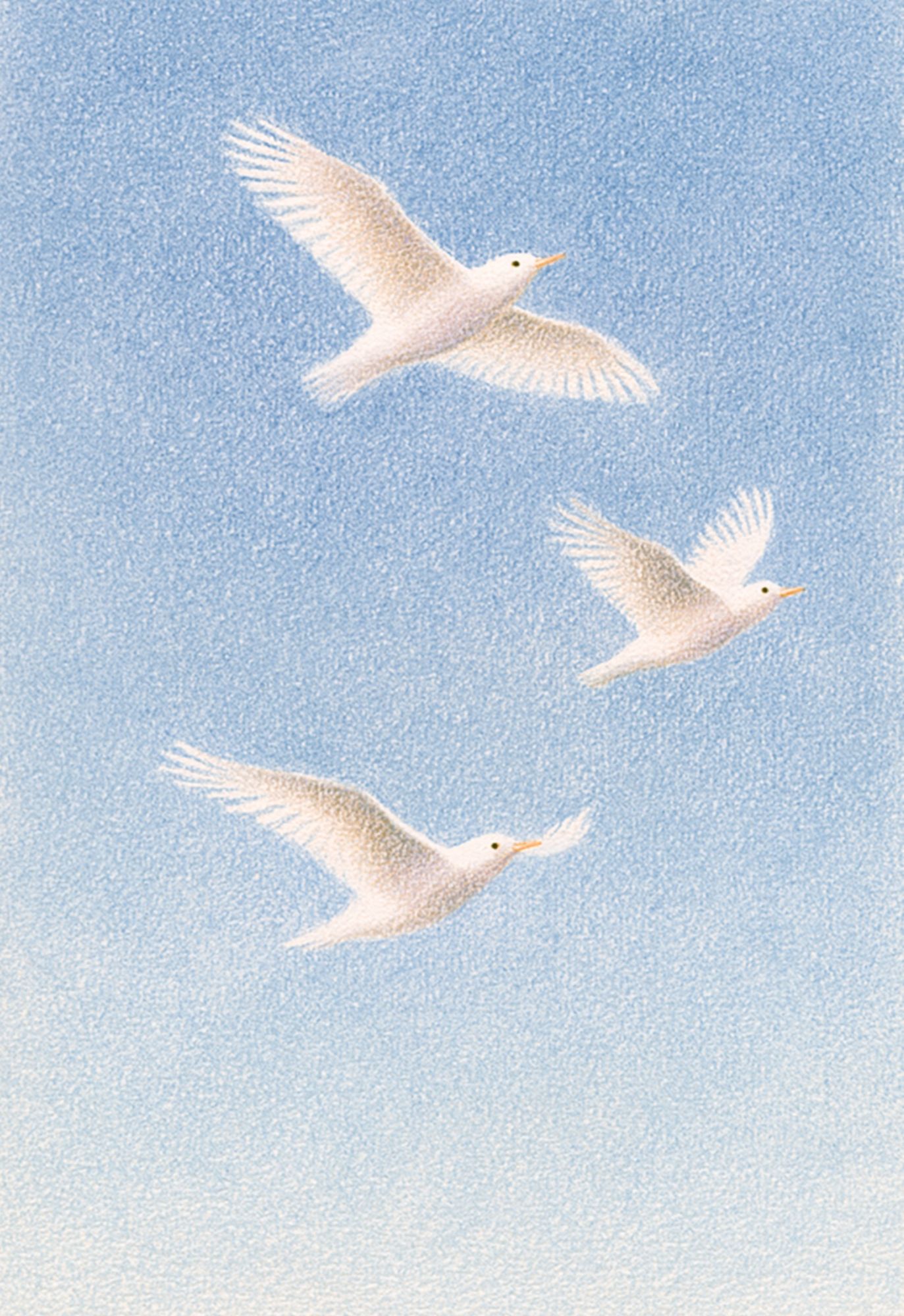 White Birds in Blue Sky Print. poster — animals art