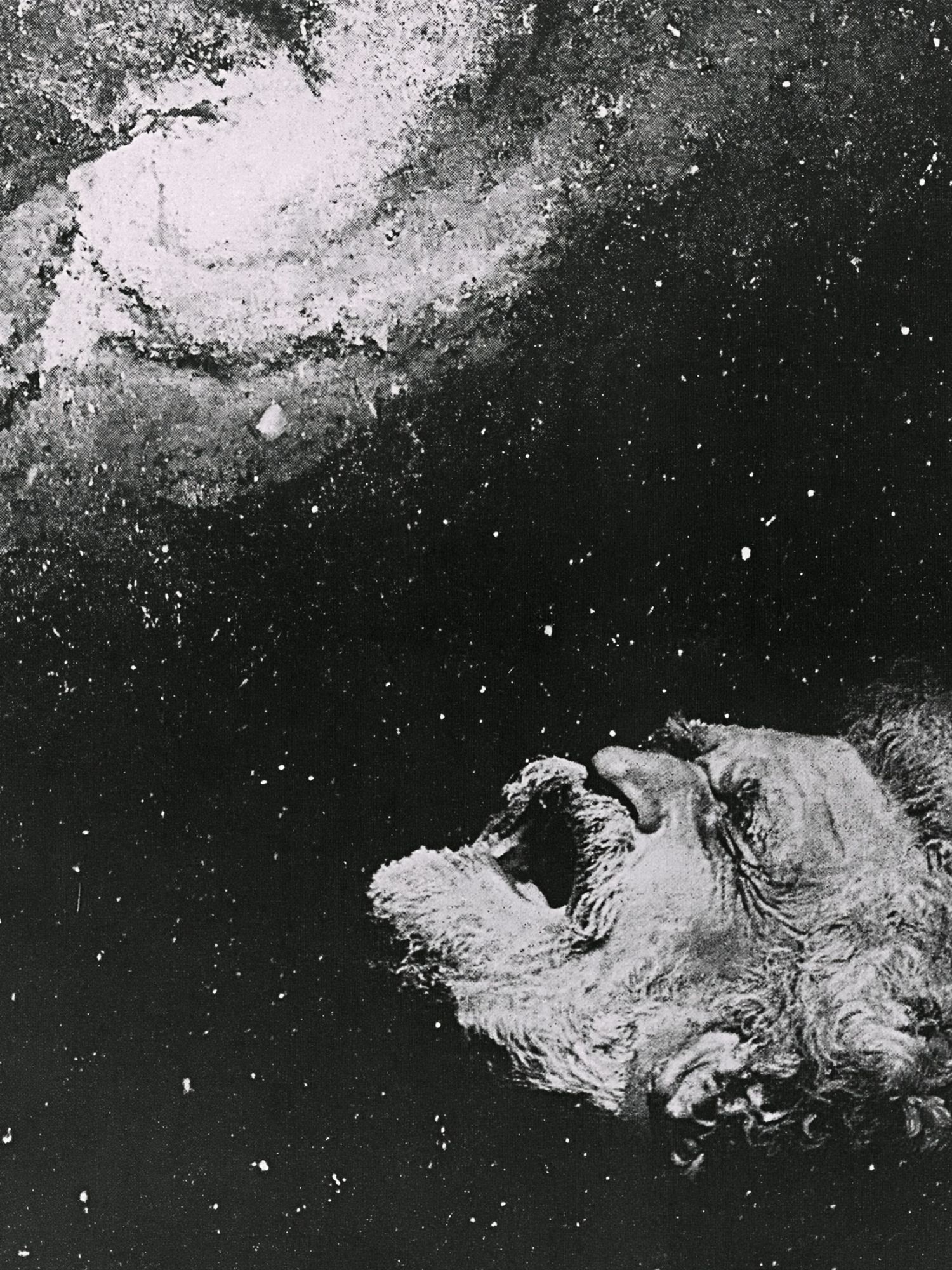 Howling Dog Black-White Poster. poster — animals art