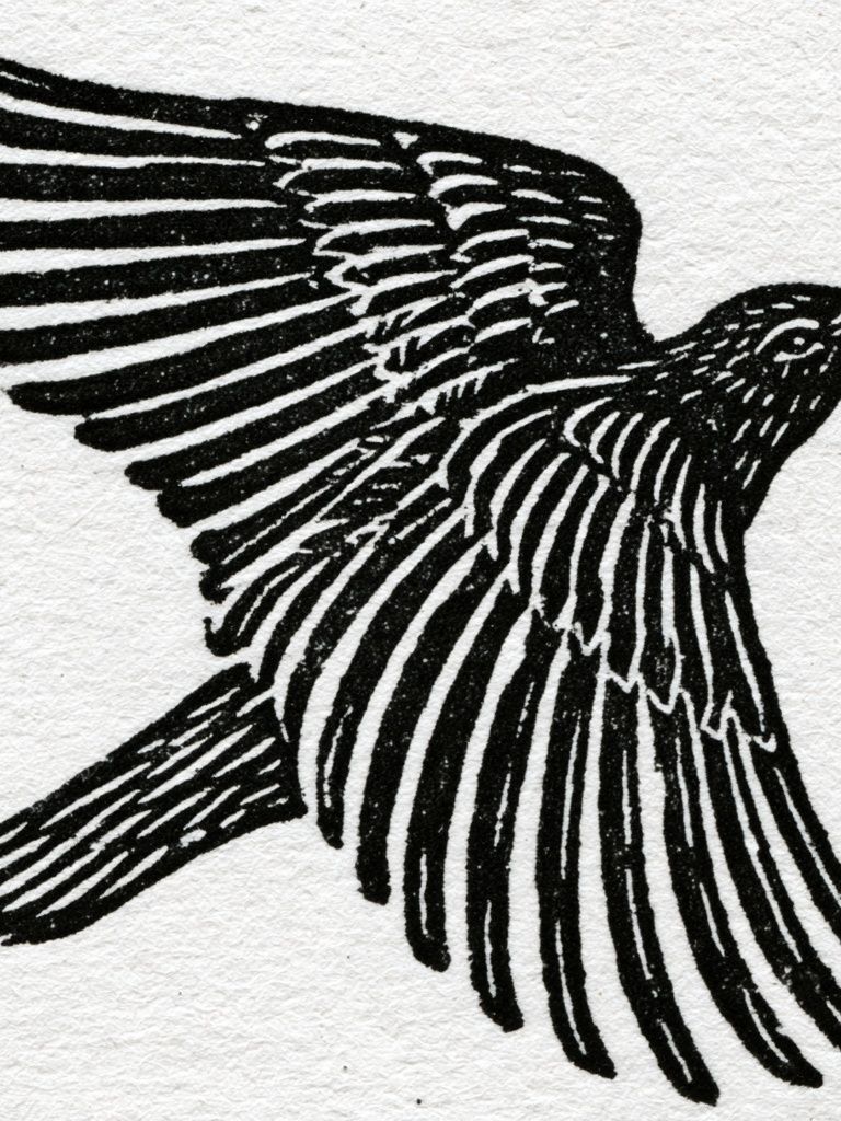 Flying Bird Ink Print. poster detail