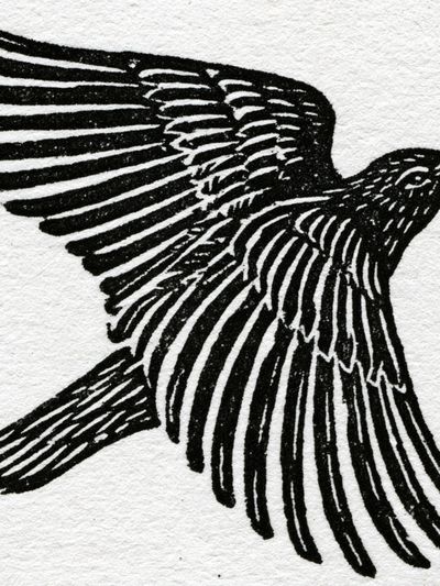 Flying Bird Ink Print.