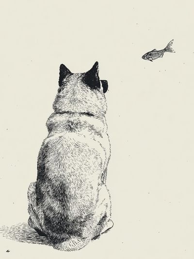 Cat and Fish Ink Illustration Poster. poster