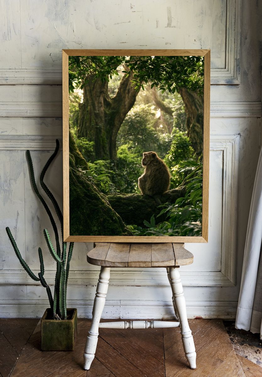 Misty Jungle Monkey Poster. — room view 1