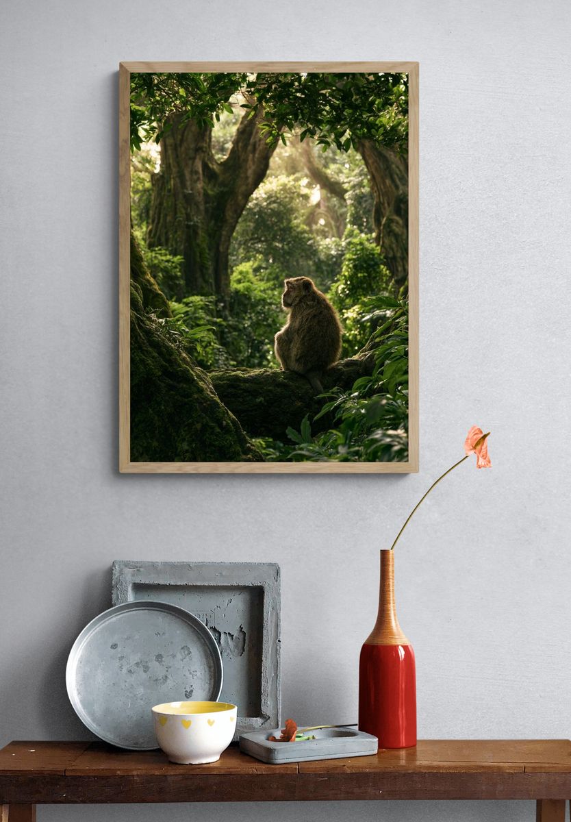Misty Jungle Monkey Poster. — room view 3