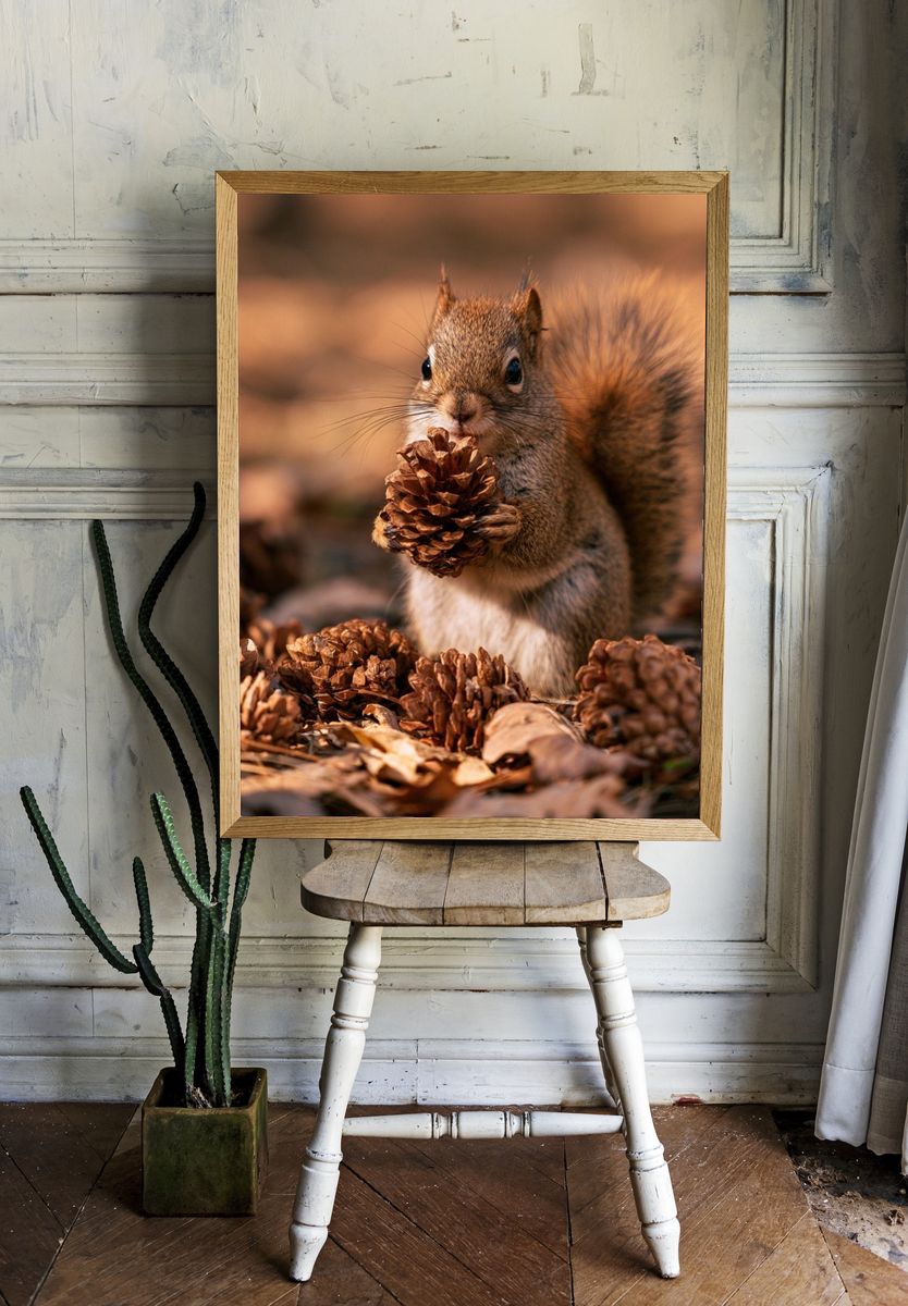 Squirrel with Pinecone Photography Poster. — room view 1