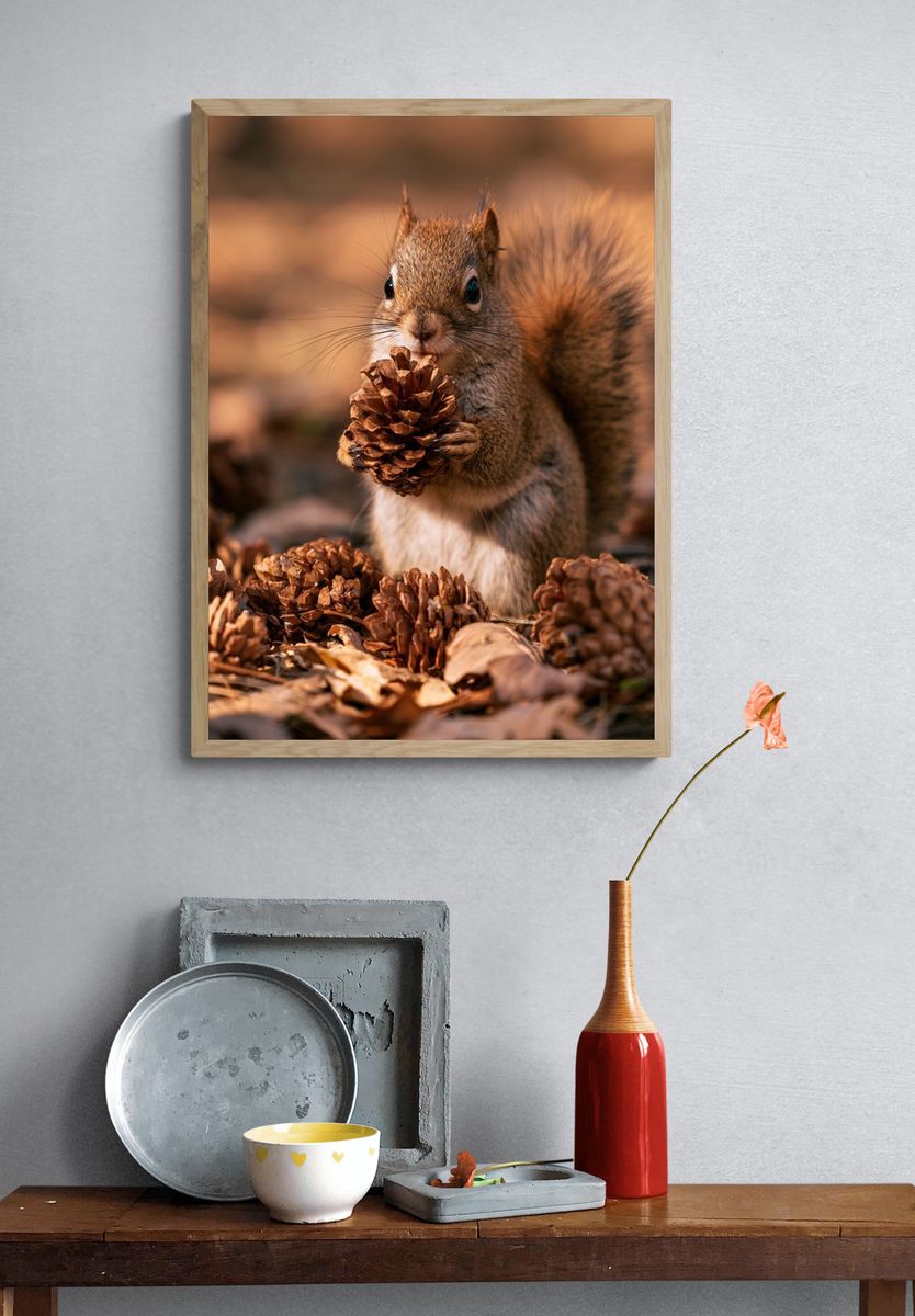 Squirrel with Pinecone Photography Poster. — room view 3