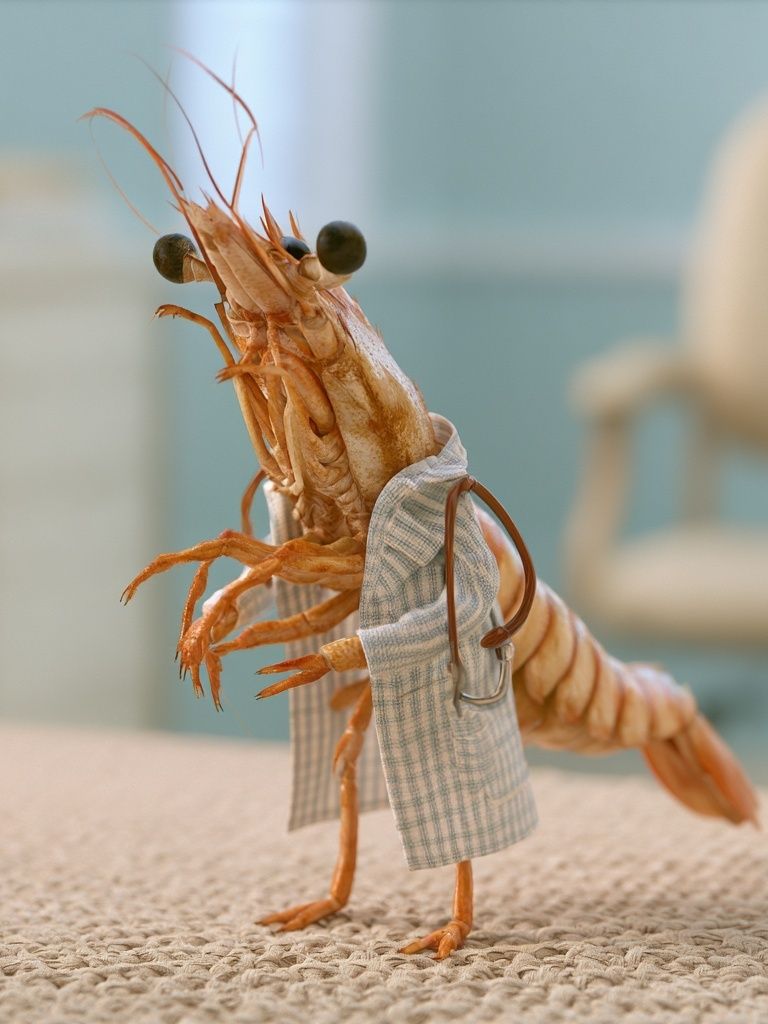 Shrimp in Lab Coat Photography Poster. poster detail