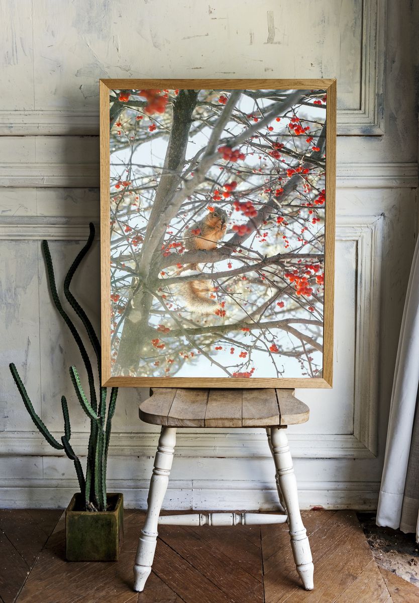 Winter Squirrel in Berry Tree Poster room preview