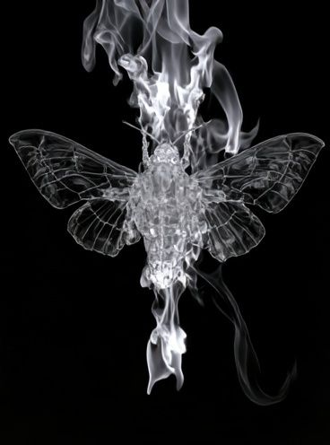 Burning Moth Black-White Poster. poster — animals art