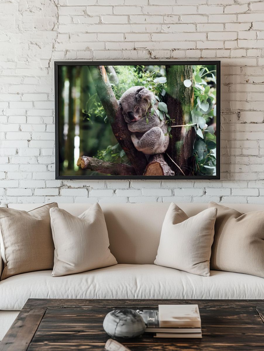 Sleeping Koala in Eucalyptus Poster room preview