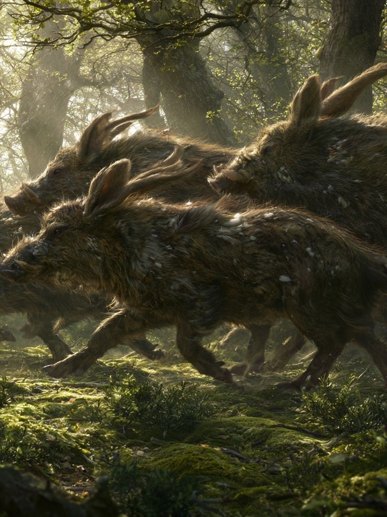Wild Boar Run Forest Illustration Poster. poster detail