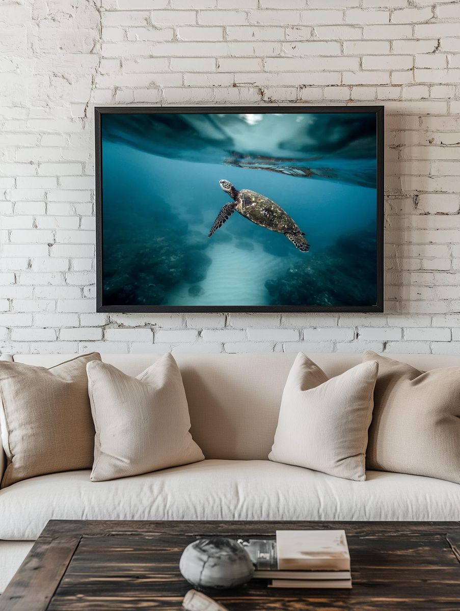 Sea turtle swimming ocean. Original. — room view 1