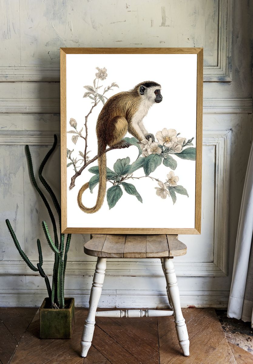 Monkey Botanical Illustration Poster. — room view 1