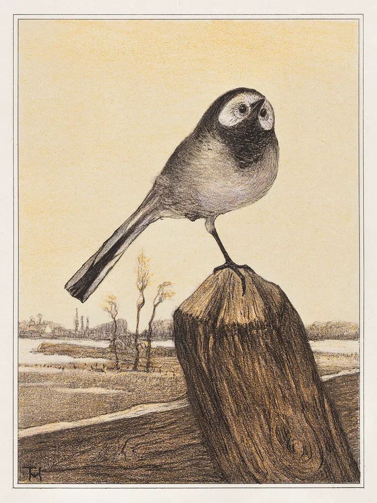 Kwikstaart op paal (1878–1910) print. poster — animals art