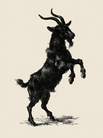 Rearing Goat Ink Illustration Poster.