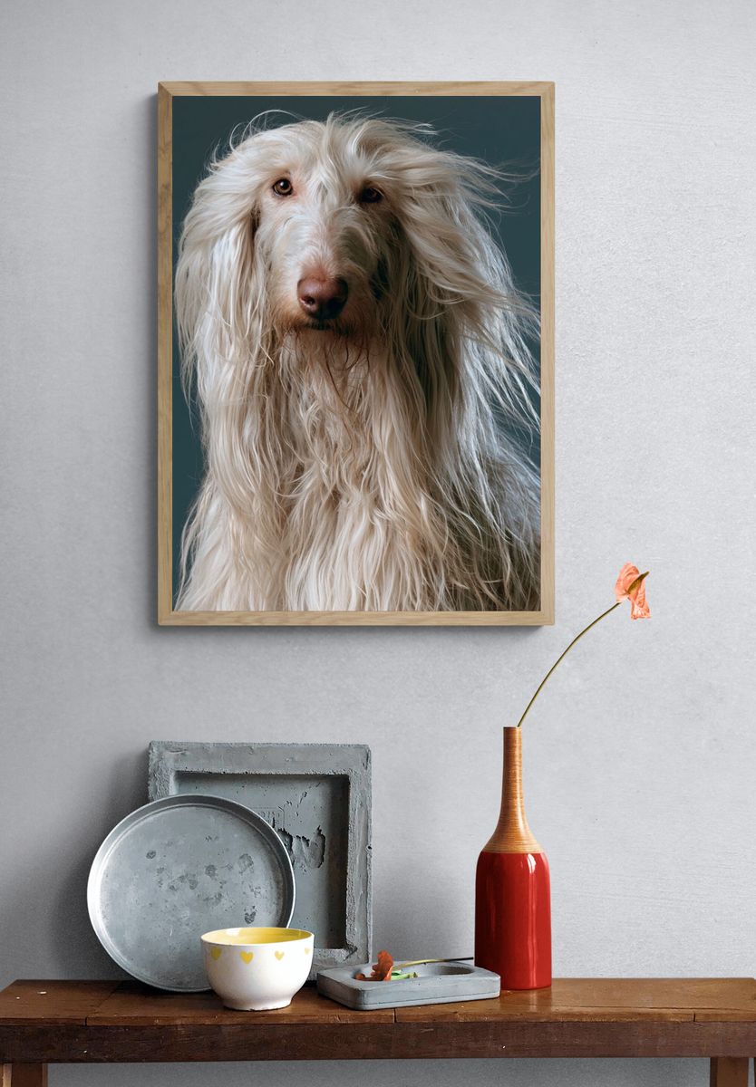 Long-Haired Dog Portrait Poster. — room view 3
