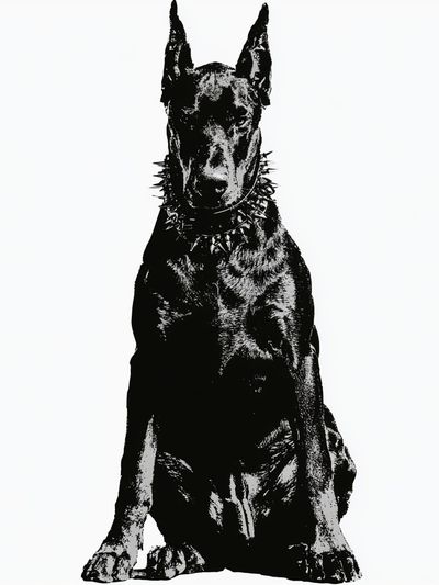 Doberman Silhouette Photography Poster.