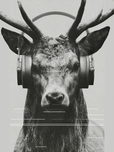 Headphone Deer Photography Poster. poster