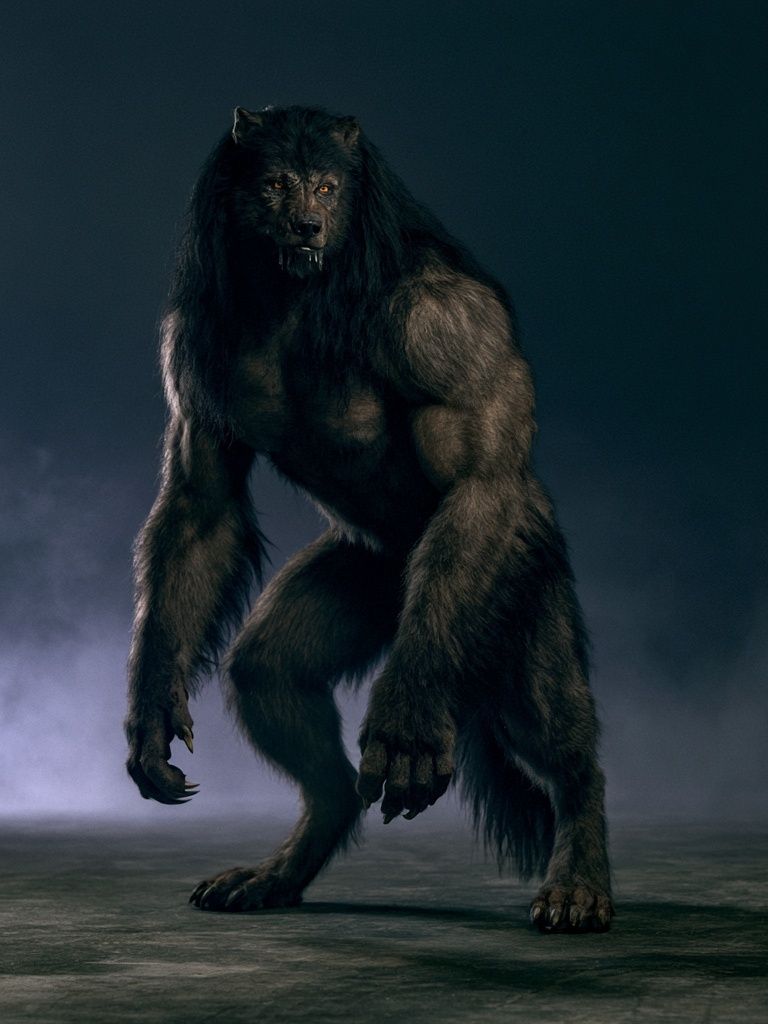 Werewolf Portrait Photography Poster. poster — animals art