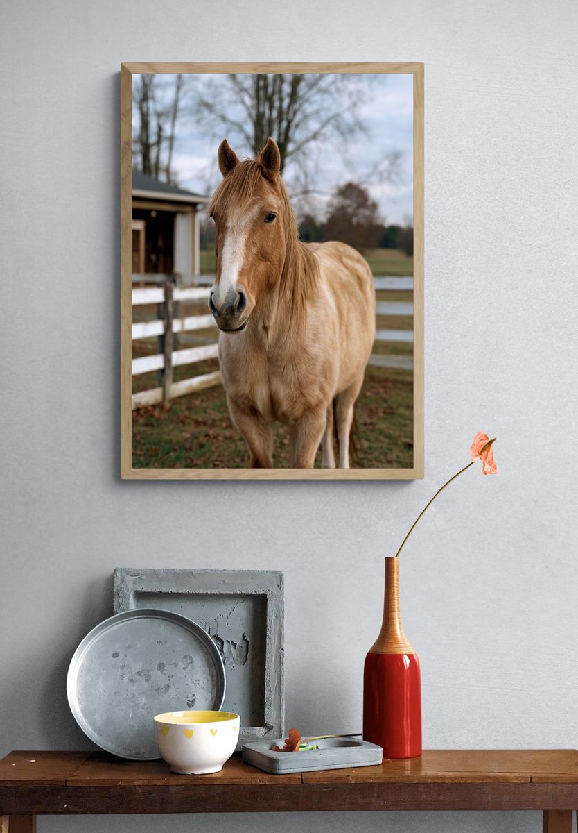 Palomino Horse Portrait Poster. — room view 3