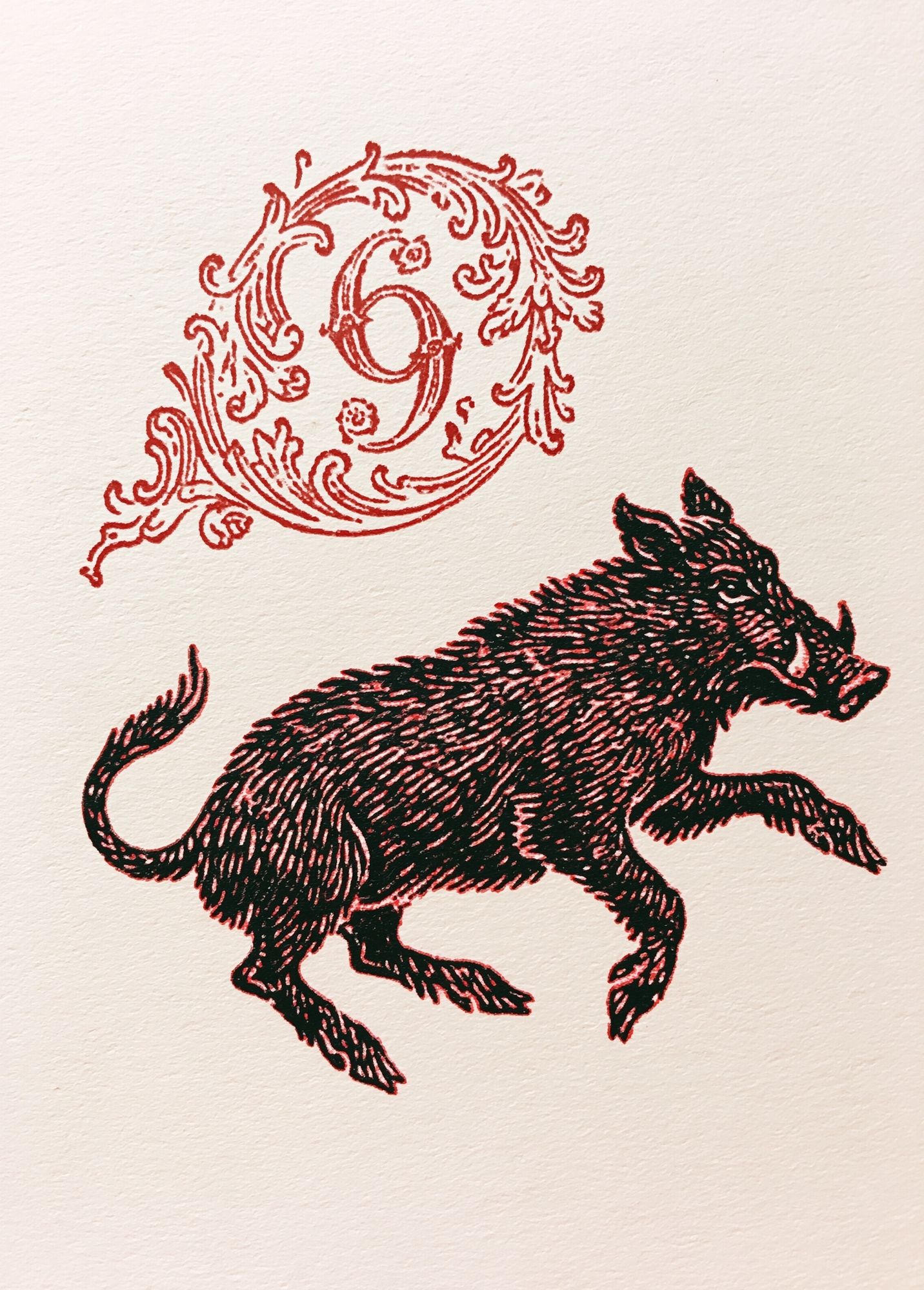 Boar Ornamental Ink Print. poster detail