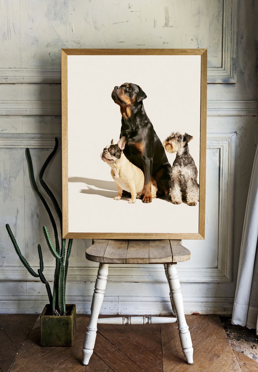 Three Dogs Portrait Poster. — room view 1
