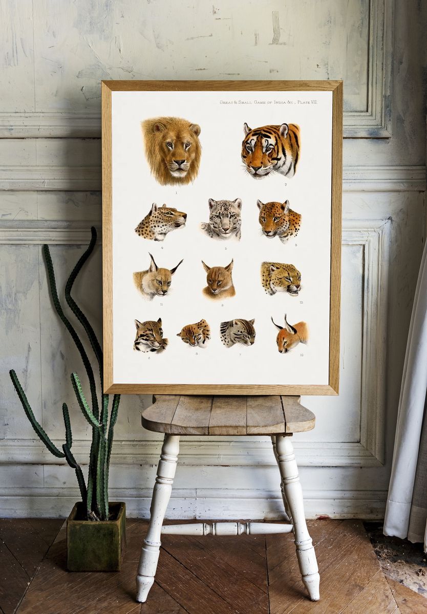 Wild animal, safari lithograph. Digitally room preview