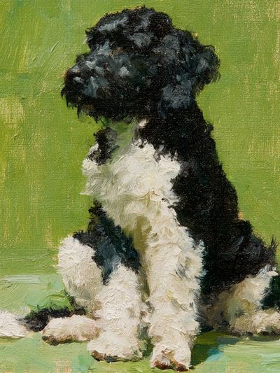 Black and White Dog Painting Poster. poster