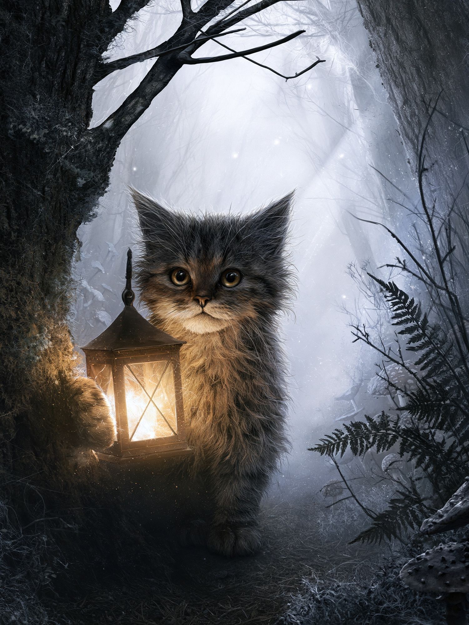 Lantern Cat Forest Illustration Poster. poster detail