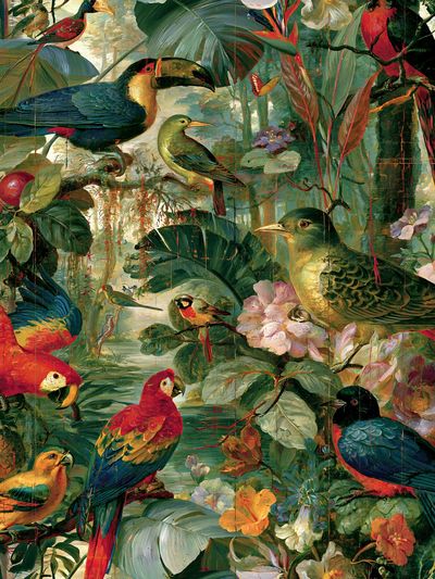 Tropical Birds Botanical Print. poster