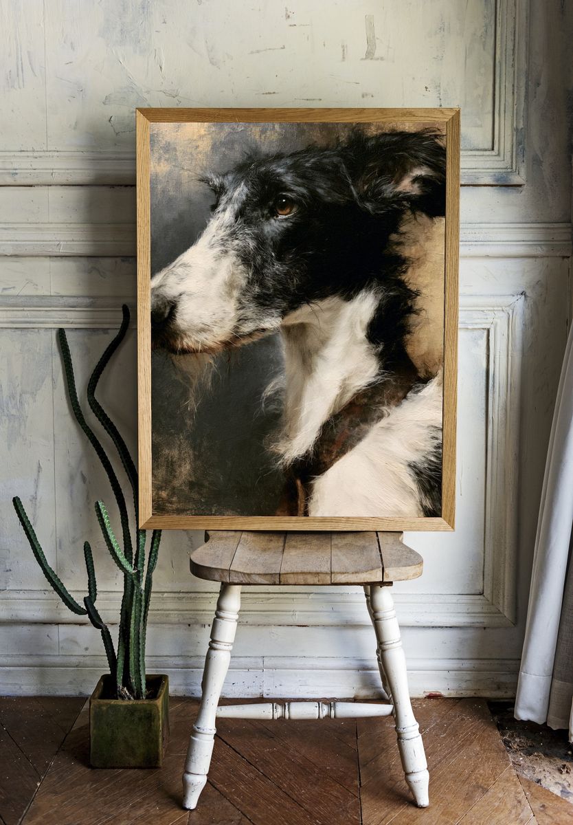 Border Collie Portrait Print. — room view 1