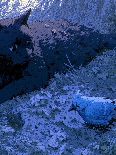 Black Cat and Bird Illustration Poster. poster