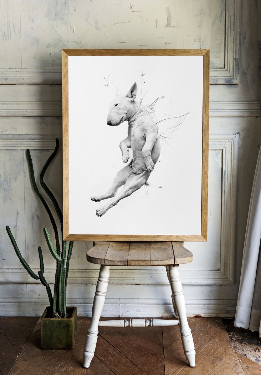 Flying Bull Terrier Illustration Poster. room preview