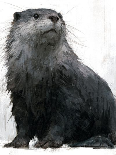 Otter Portrait Illustration Poster. poster