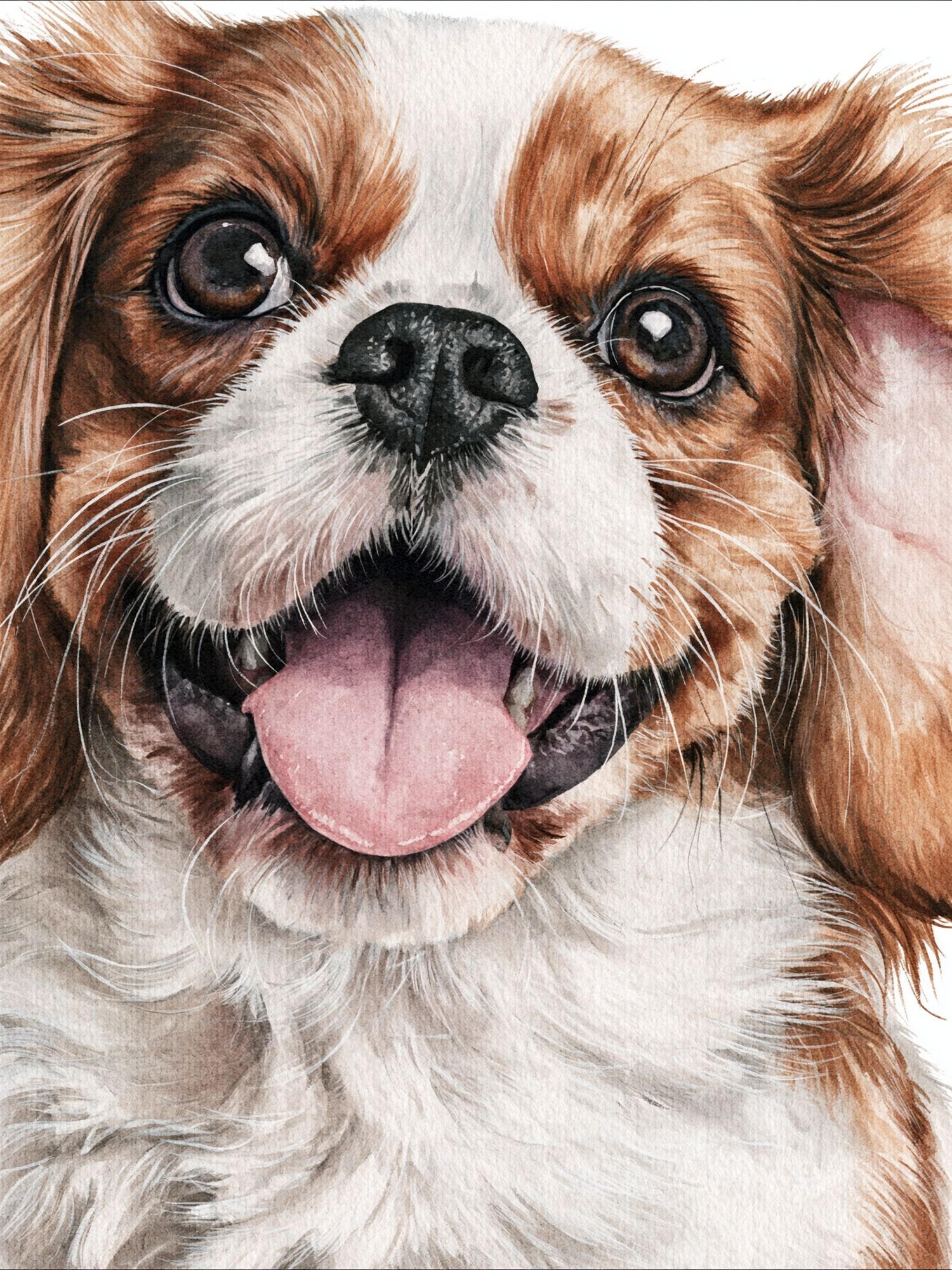 Cavalier King Charles Spaniel Watercolor Poster. poster detail