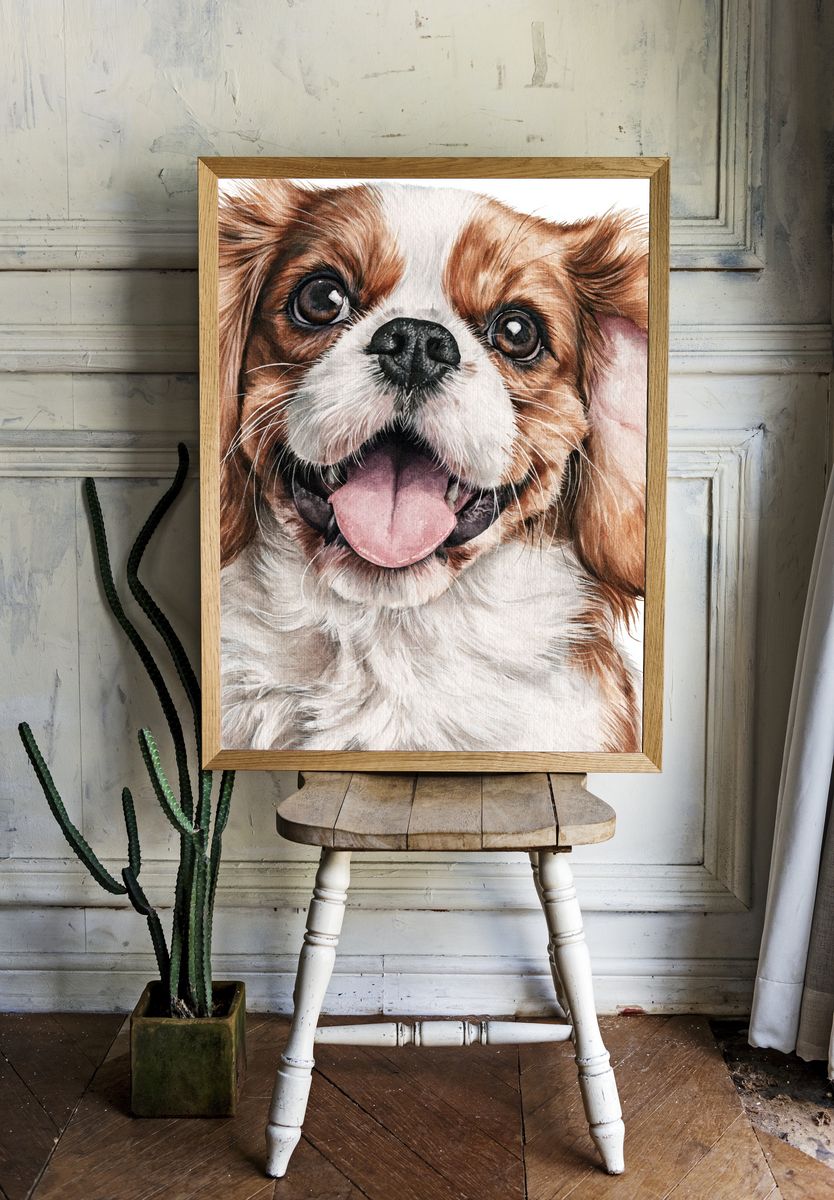 Cavalier King Charles Spaniel Watercolor Poster. — room view 1