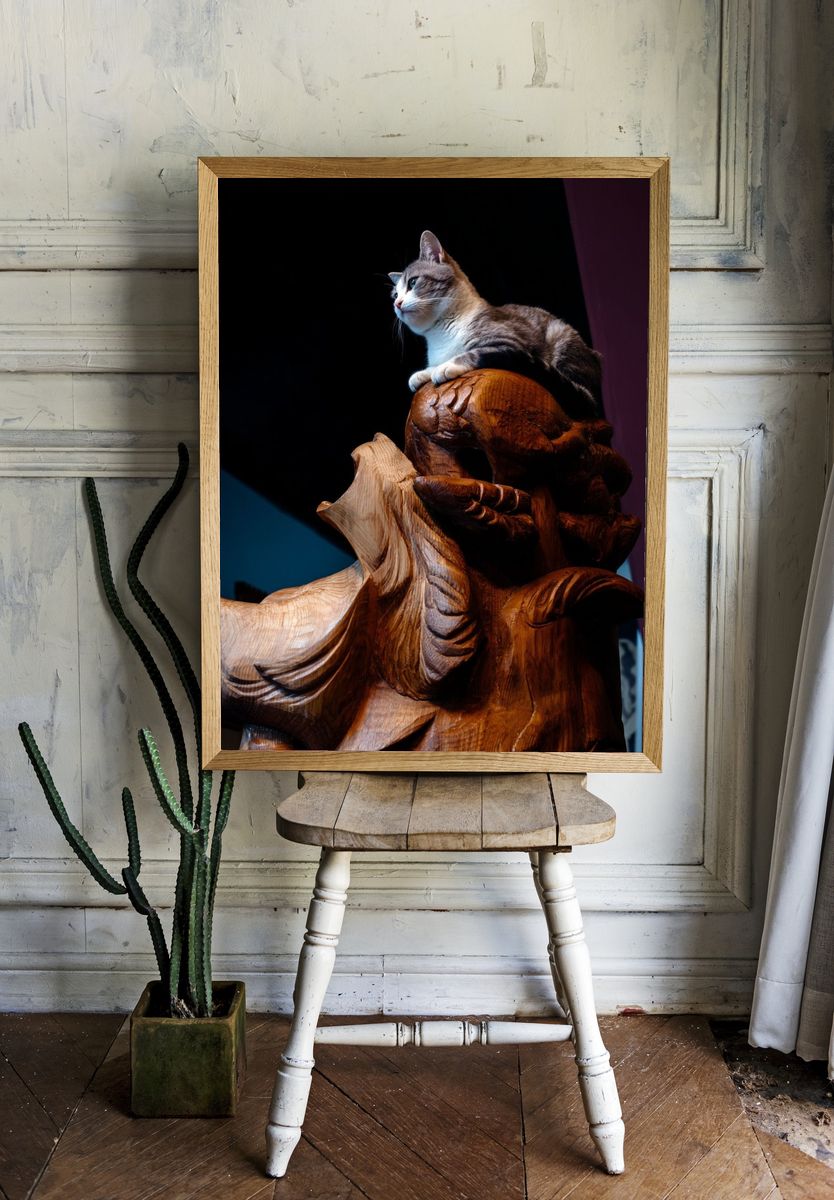 Cat on Carved Wood Photography Poster. — room view 1