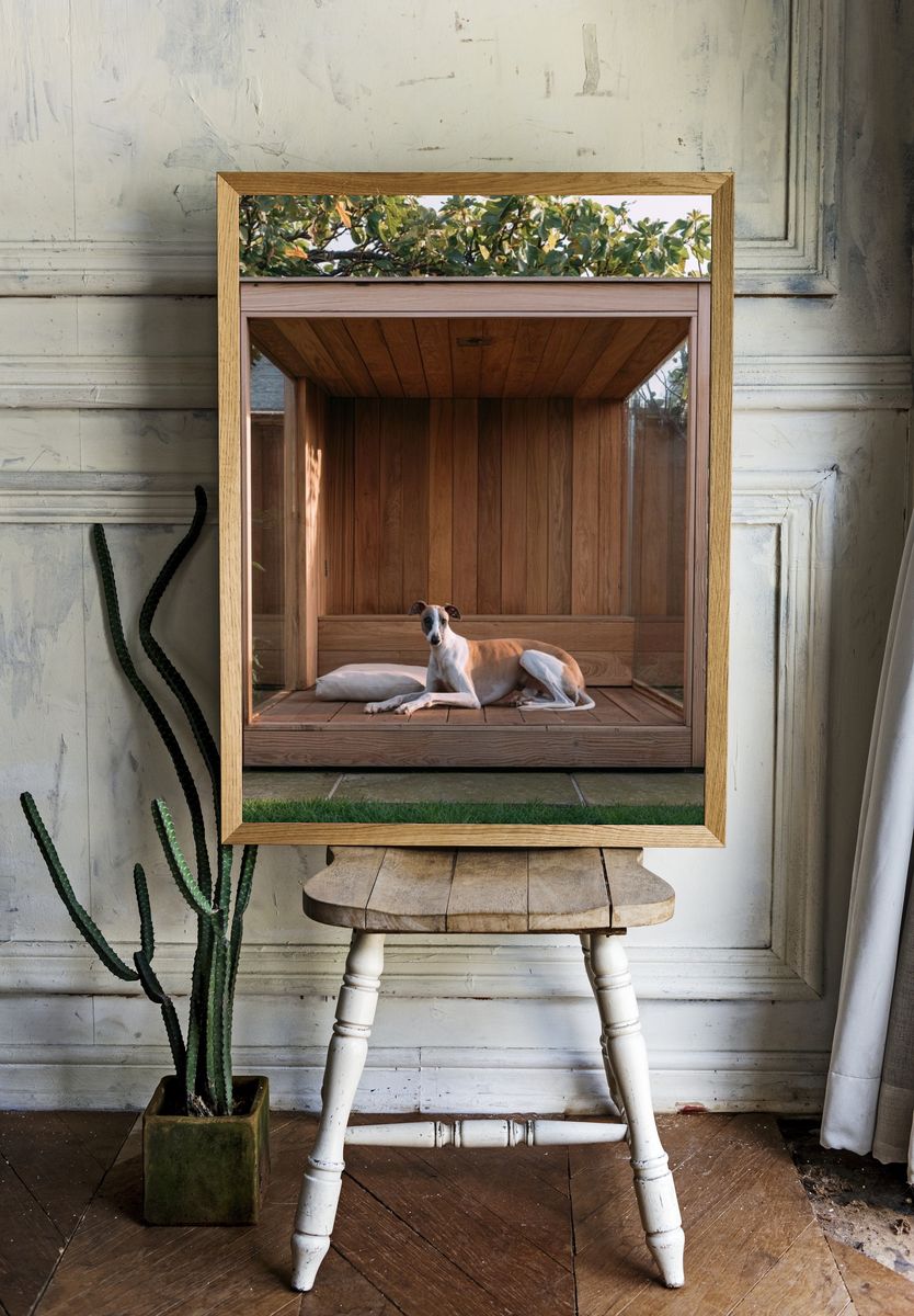 Greyhound in Wooden Garden Shelter Poster. — room view 1